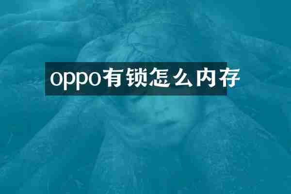 oppo有锁怎么内存