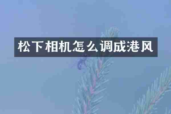 松下相机怎么调成港风