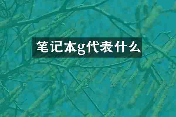 笔记本g代表什么