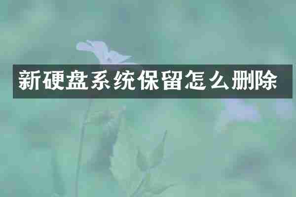 新硬盘系统保留怎么删除