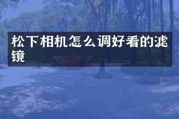 松下相机怎么调好看的滤镜