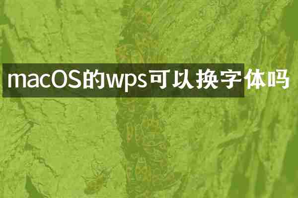 macOS的wps可以换字体吗