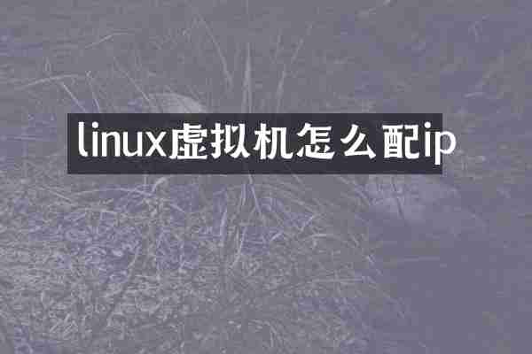 linux虚拟机怎么配ip