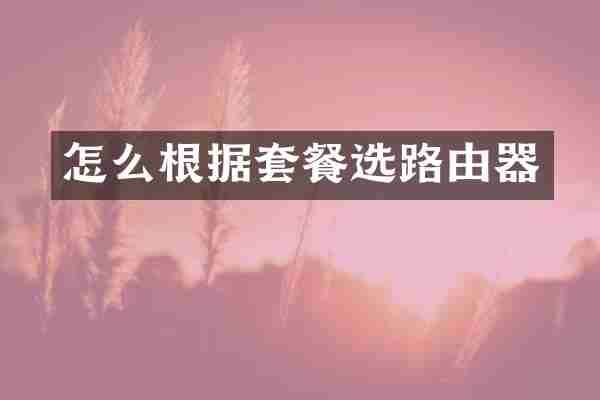 怎么根据套餐选路由器