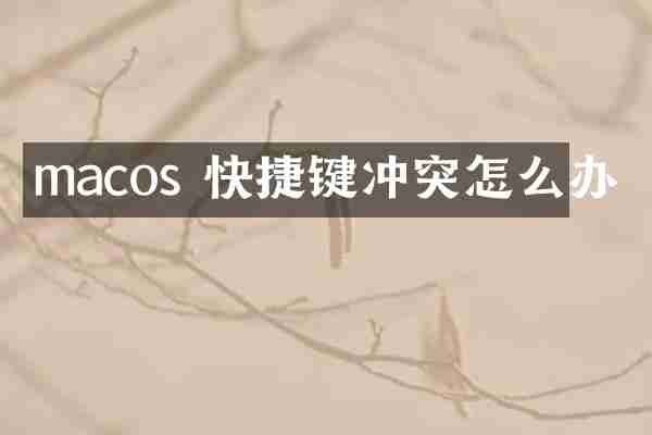 macos 快捷键冲突怎么办