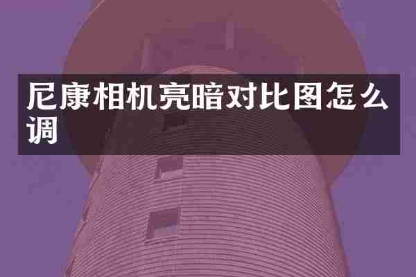 尼康相机亮暗对比图怎么调