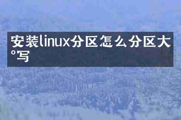 安装linux分区怎么分区大小写