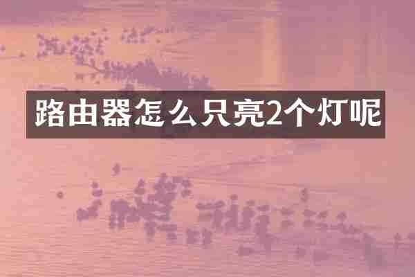 路由器怎么只亮2个灯呢