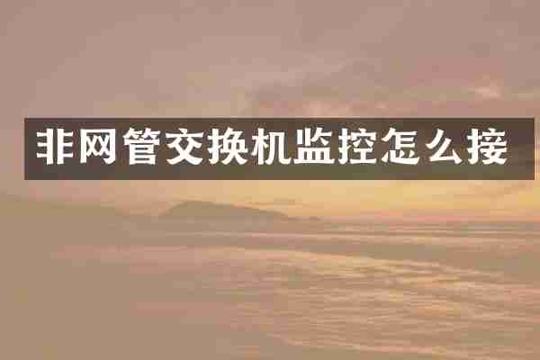 非网管交换机监控怎么接