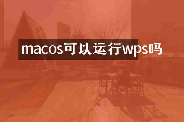macos可以运行wps吗