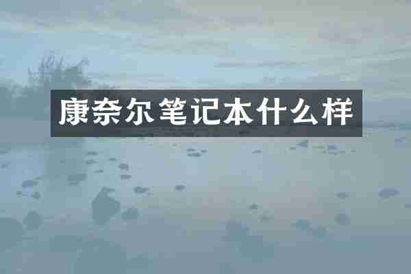 康奈尔笔记本什么样