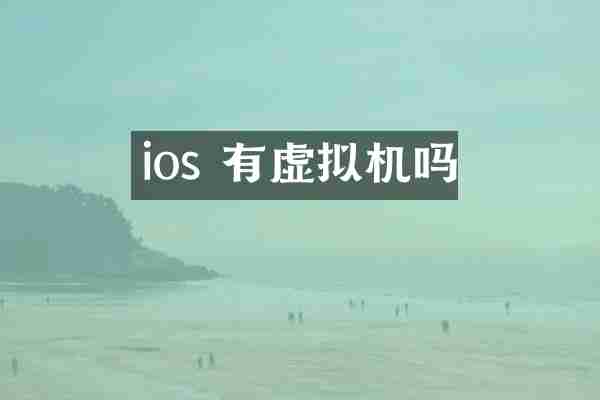 ios 有虚拟机吗