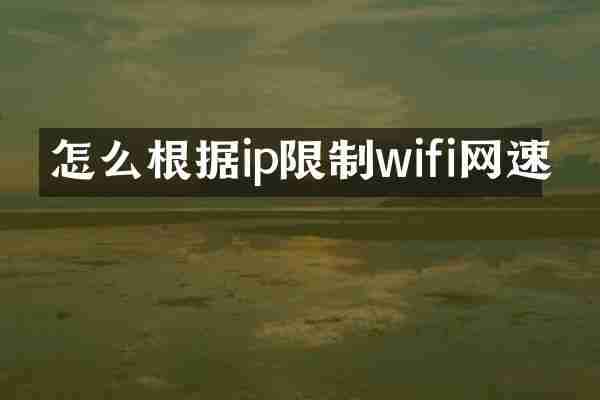 怎么根据ip限制wifi网速