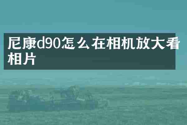 尼康d90怎么在相机放大看相片
