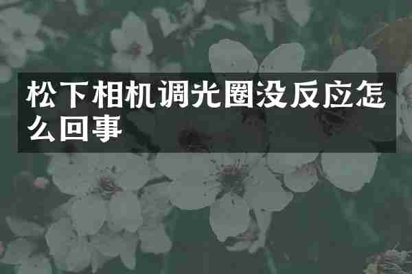 松下相机调光圈没反应怎么回事