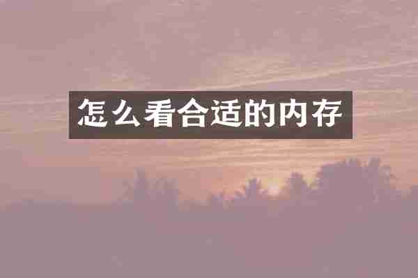 怎么看合适的内存