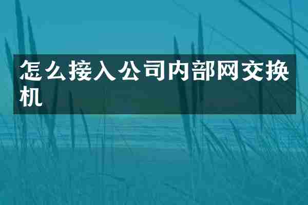 怎么接入公司内部网交换机