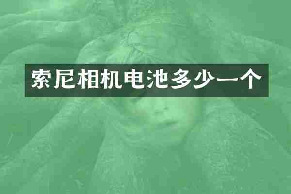 索尼相机电池多少一个