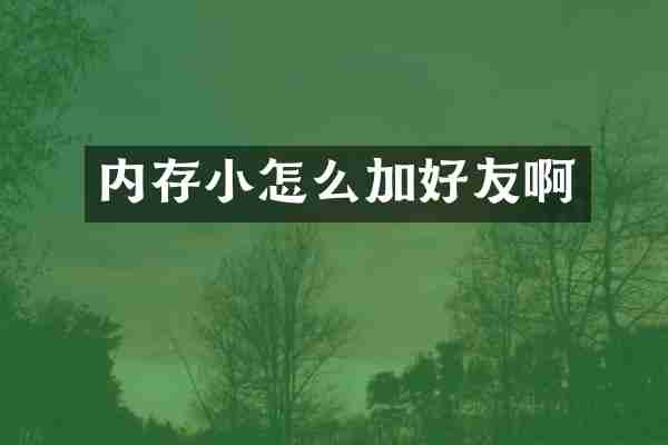 内存小怎么加好友啊