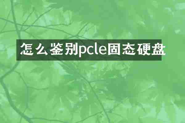 怎么鉴别pcle固态硬盘