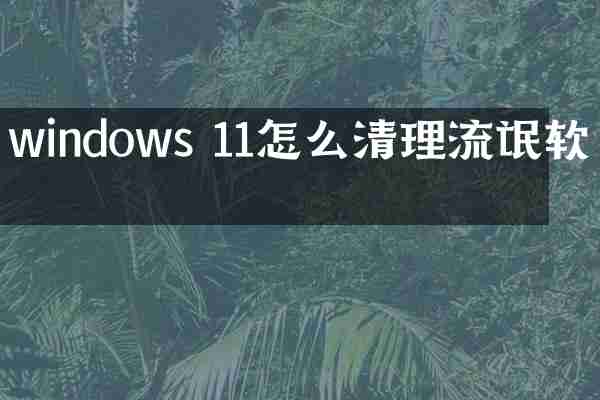 windows 11怎么清理流氓软件