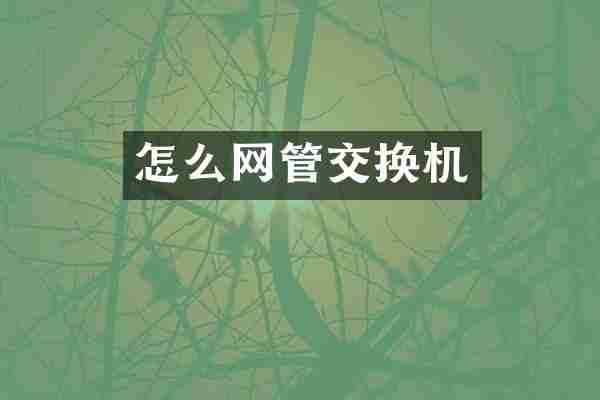 怎么网管交换机