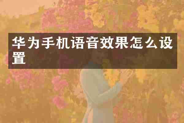 华为手机语音效果怎么设置