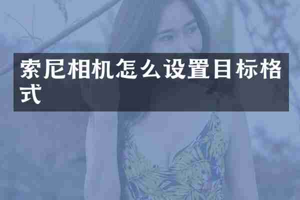 索尼相机怎么设置目标格式