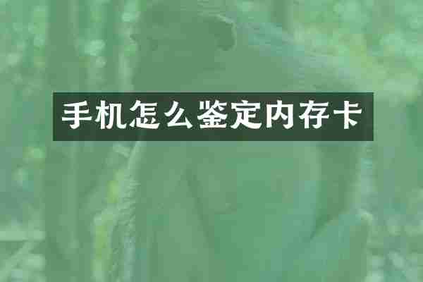 手机怎么鉴定内存卡