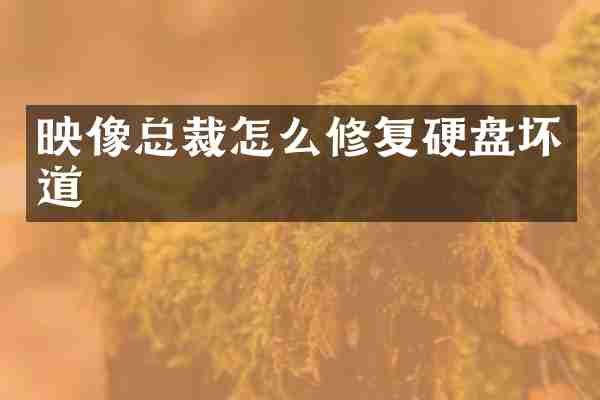 映像总裁怎么修复硬盘坏道