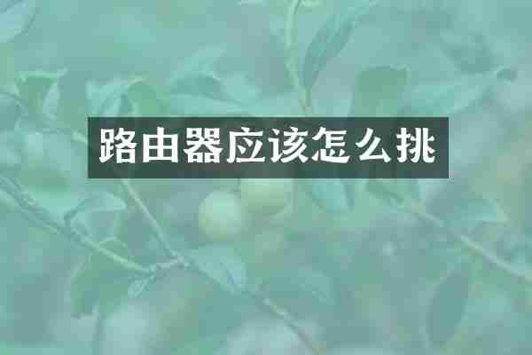 路由器应该怎么挑