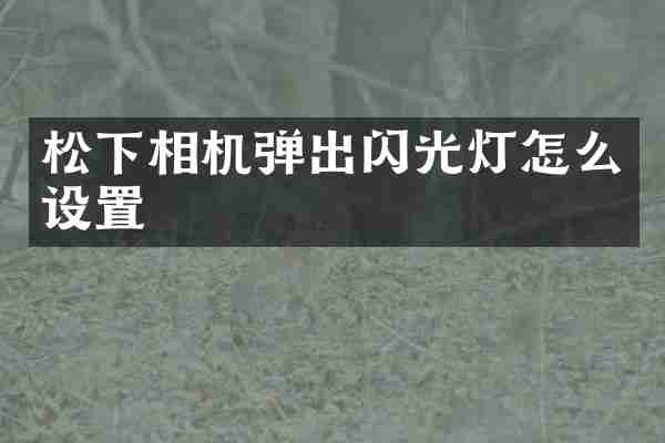 相机弹出闪光灯怎么设置