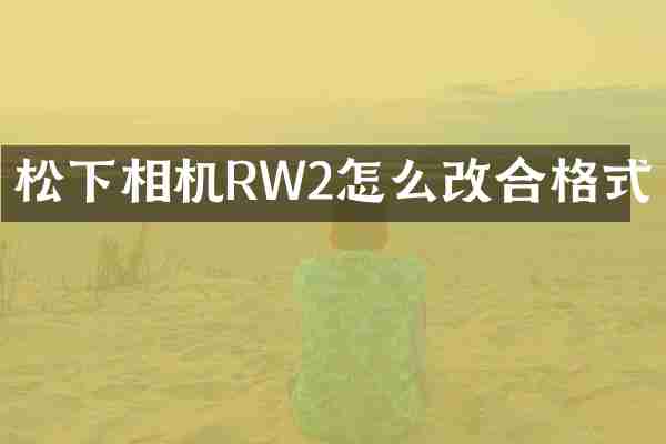 相机RW2怎么改合格式
