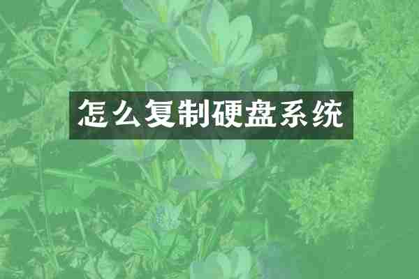 怎么复制硬盘系统
