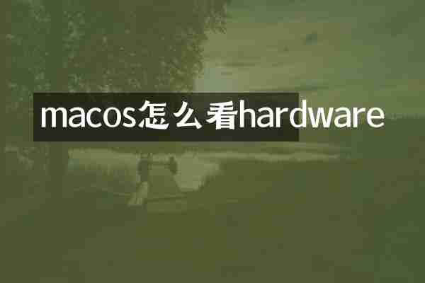 macos怎么看hardware