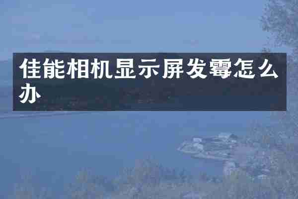 佳能相机显示屏发霉怎么办
