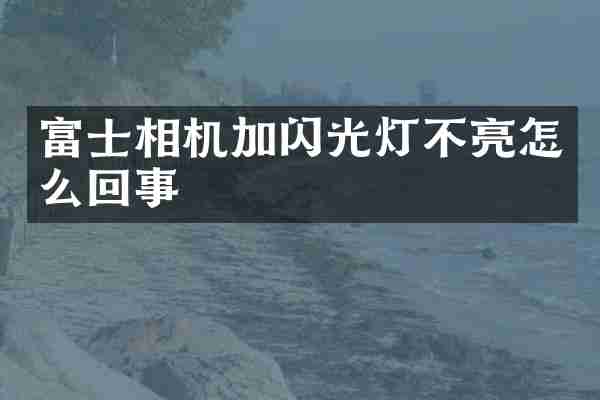 富士相机加闪光灯不亮怎么回事