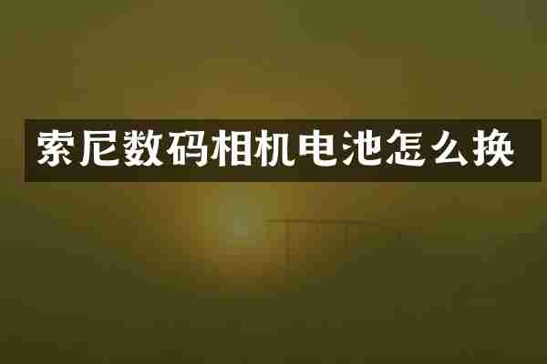 索尼数码相机电池怎么换