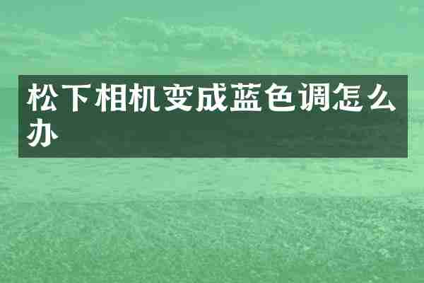 相机变成蓝色调怎么办