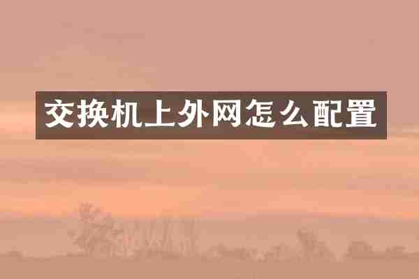 交换机上外网怎么配置