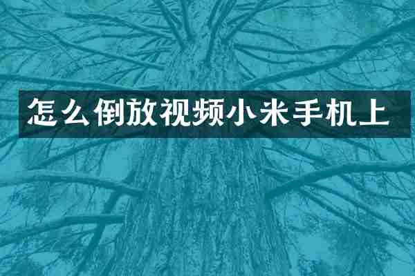 怎么倒放视频小米手机上