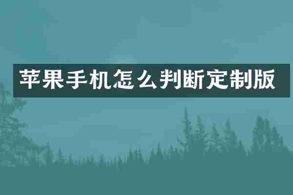 苹果手机怎么判断定制版