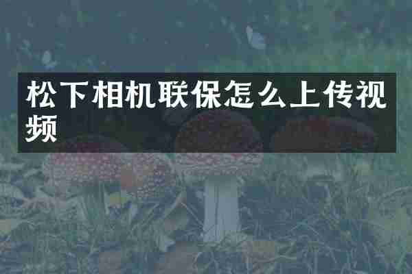 相机联保怎么上传视频