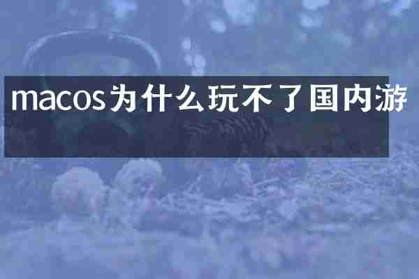 macos为什么玩不了国内游戏