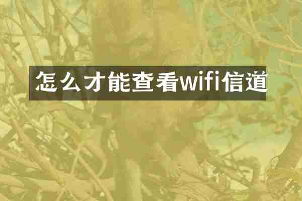怎么才能查看wifi信道