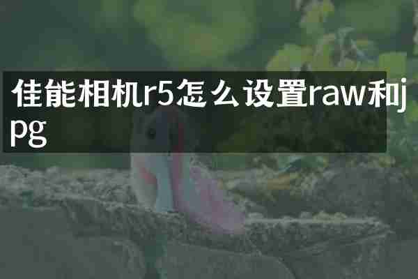 佳能相机r5怎么设置raw和jpg