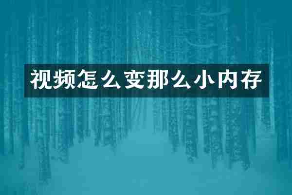 视频怎么变那么小内存