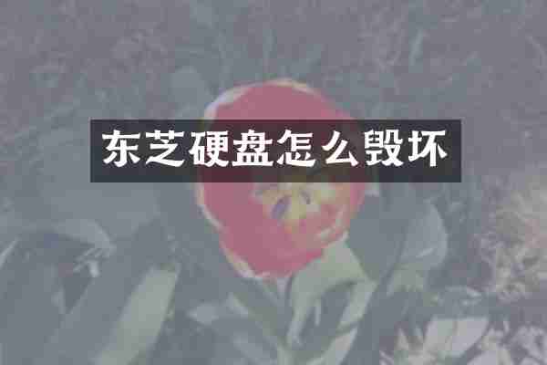 东芝硬盘怎么毁坏