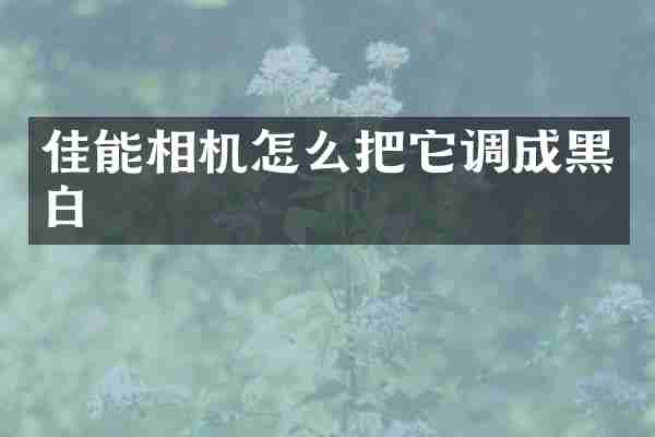 佳能相机怎么把它调成黑白