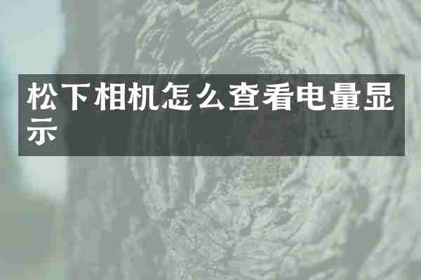 松下相机怎么查看电量显示